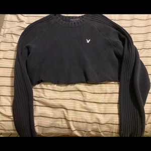 American Eagle Cropped Sweater